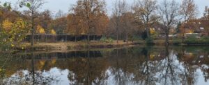 2024-11-16-arbeitsdienst-11-16-33